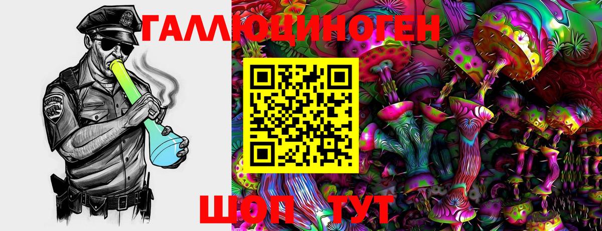 Коряжма  Галлюциногенные грибы GOLDEN TEACHER  купить наркотик  Вход с VPN 