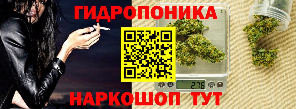 Бошки Шишки сатива Коряжма